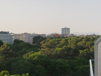 10-P8290145.jpg