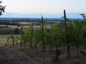 P9030771.JPG