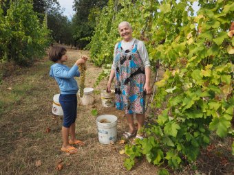 P9040811.JPG