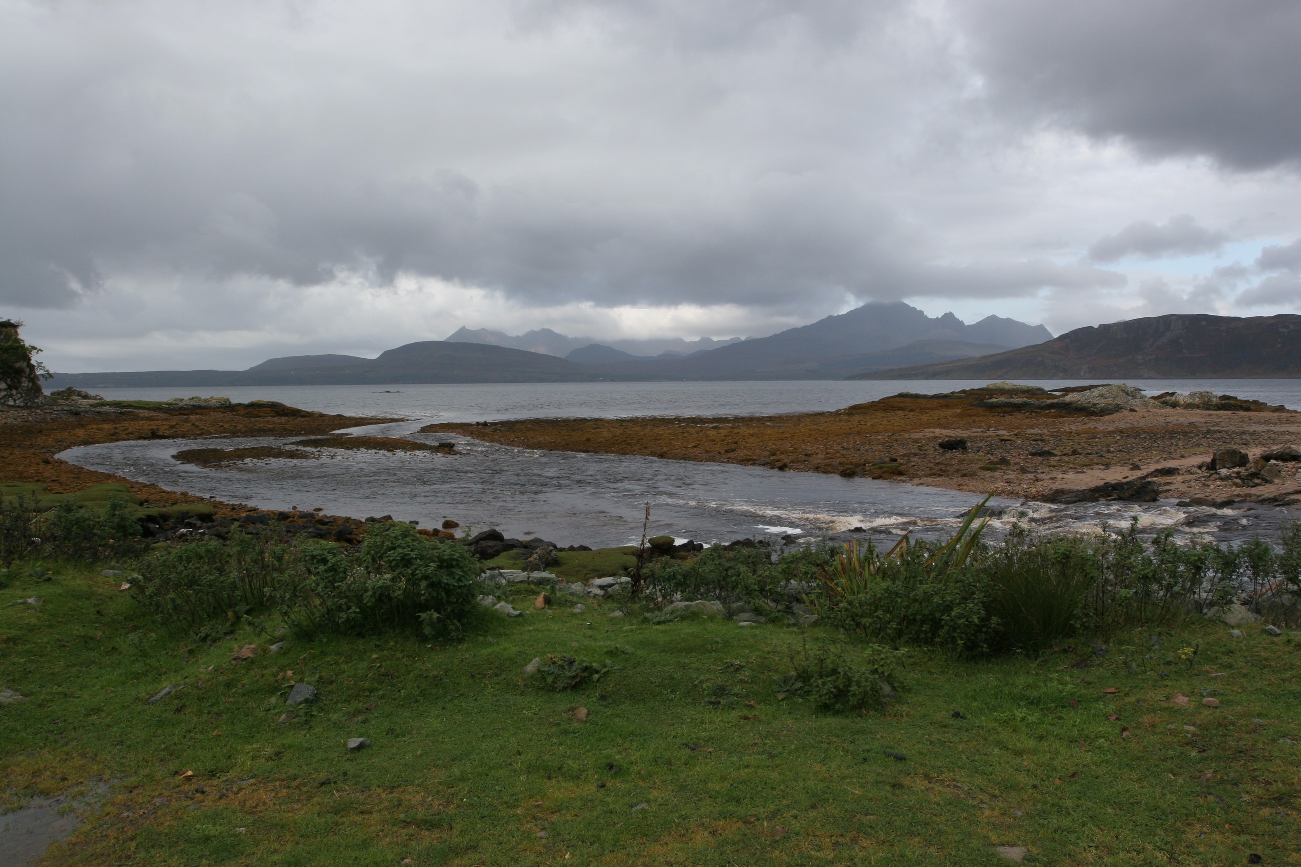 IMG_7625.JPG