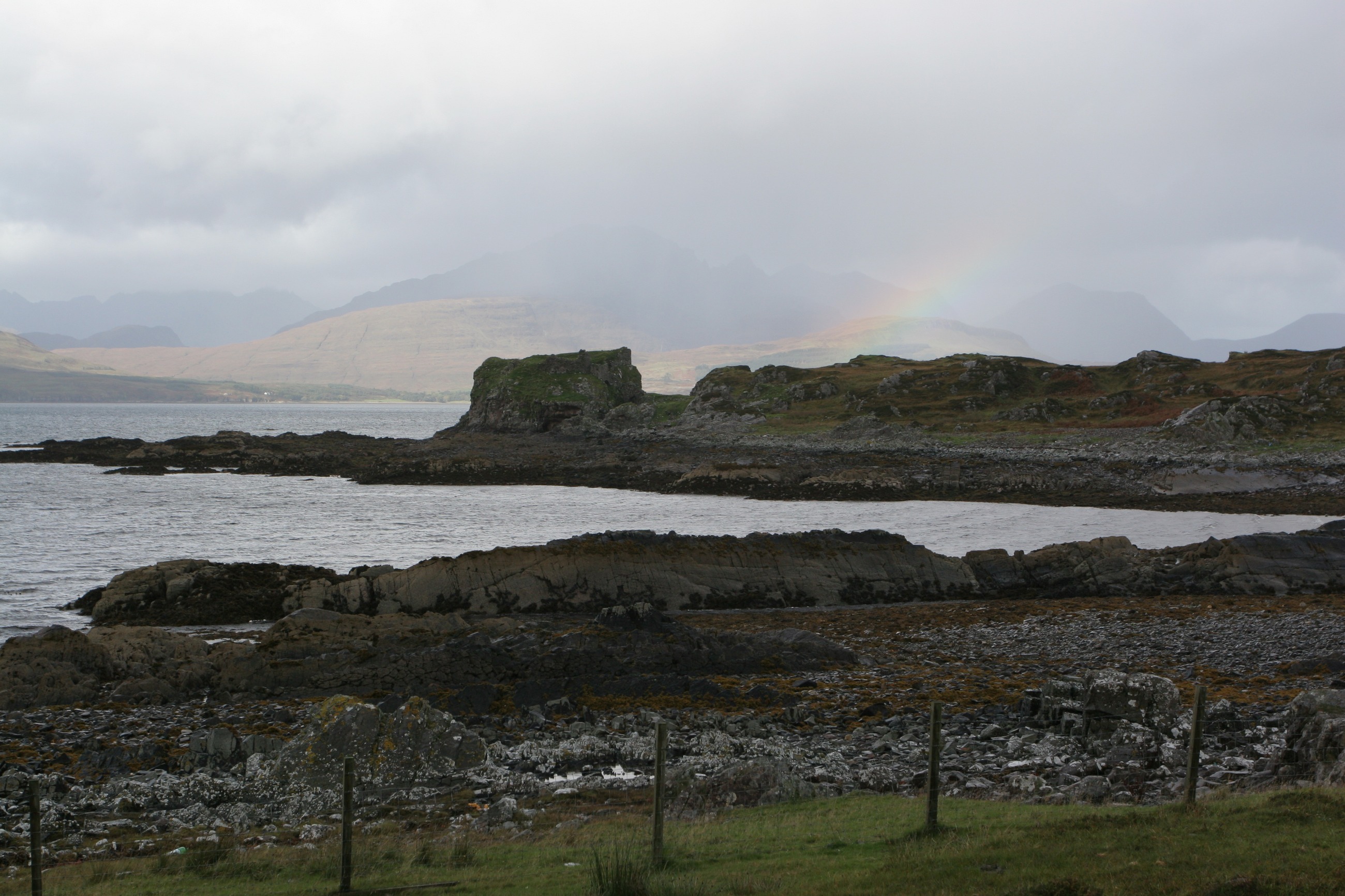 IMG_7654.JPG