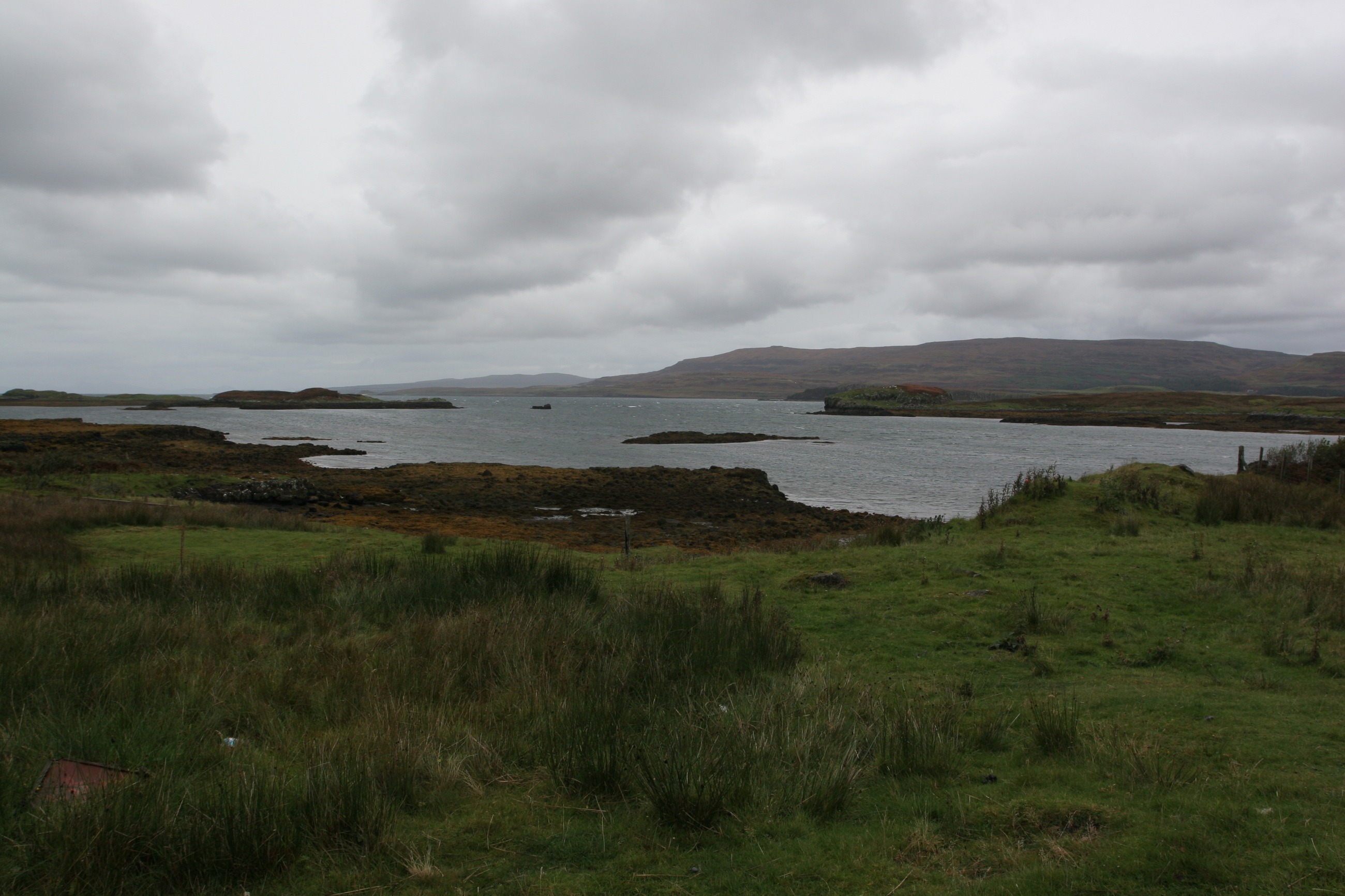 IMG_7745.JPG