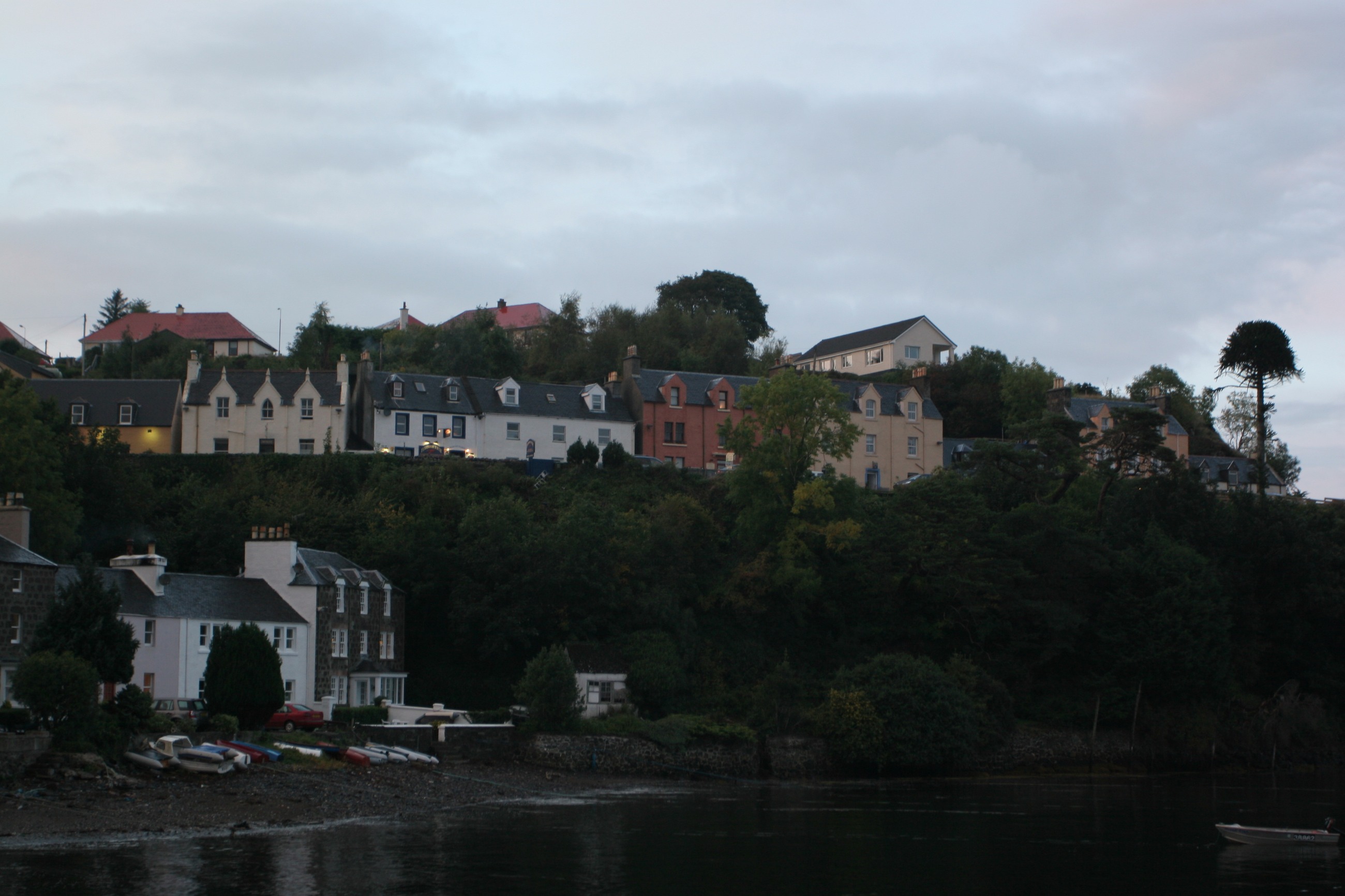 IMG_7822.JPG