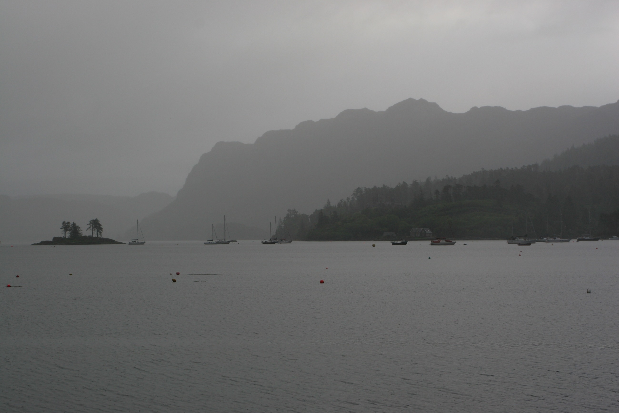 IMG_7846.JPG
