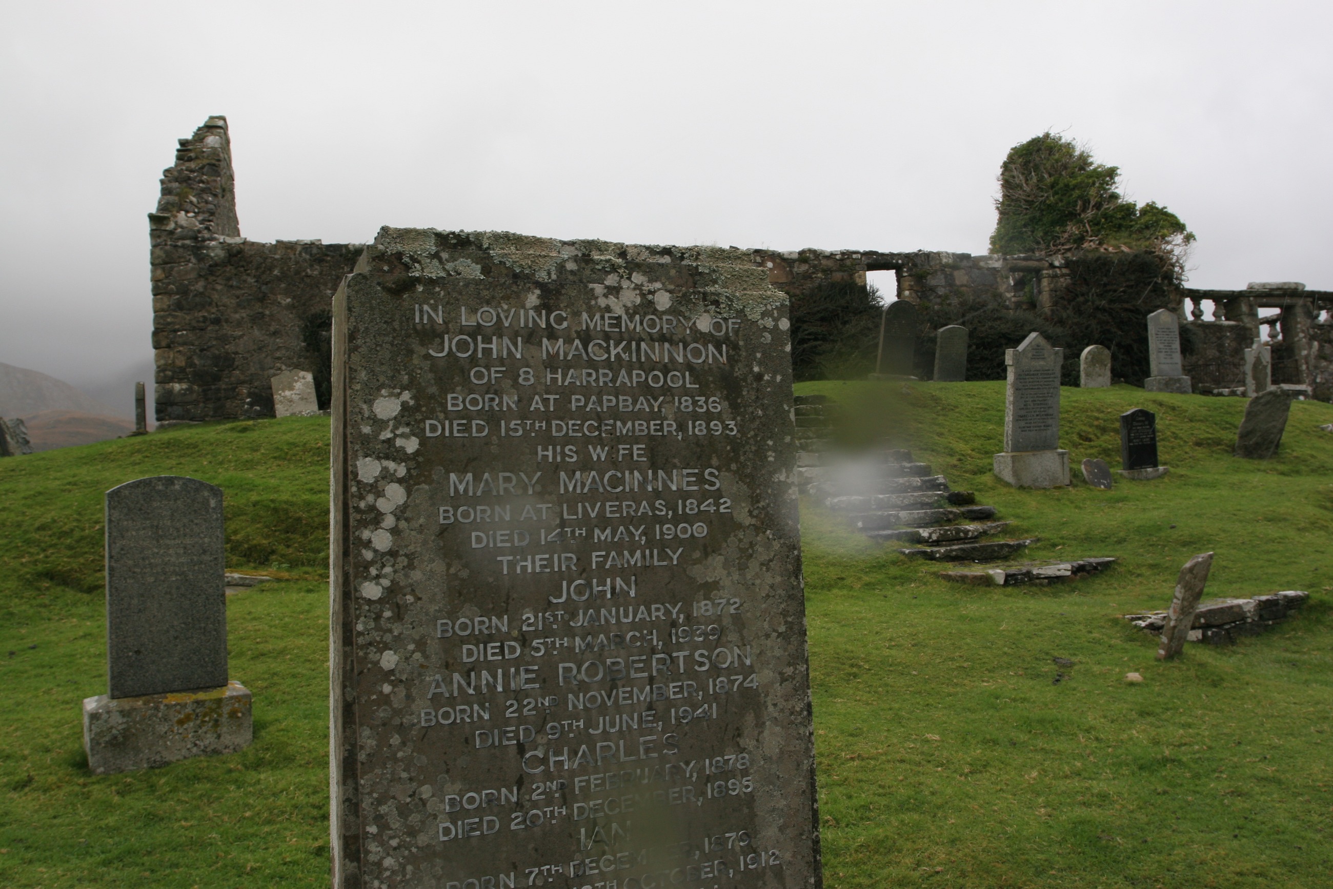 IMG_7890.JPG