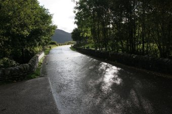 IMG_7479.JPG