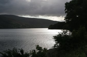 IMG_7485.JPG