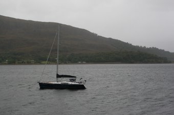 IMG_7537.JPG