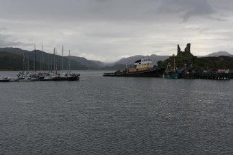 IMG_7587.JPG