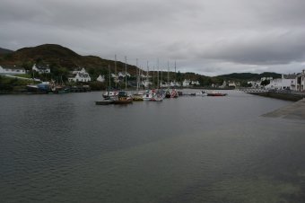 IMG_7595.JPG