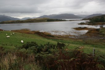 IMG_7608.JPG