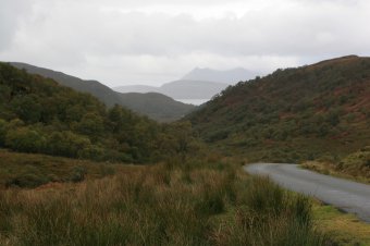 IMG_7612.JPG