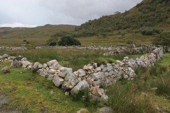IMG_7616.JPG
