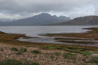 IMG_7619.JPG