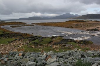 IMG_7622.JPG