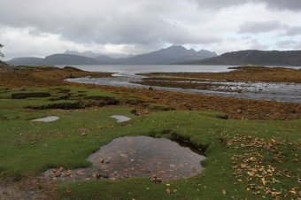 IMG_7627.JPG