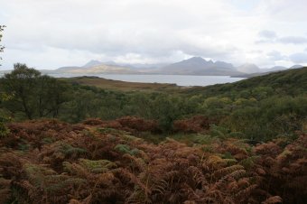 IMG_7628.JPG