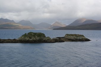 IMG_7643.JPG