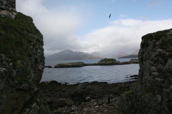 IMG_7650.JPG