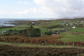 IMG_7659.JPG