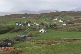 IMG_7661.JPG