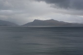 IMG_7684.JPG