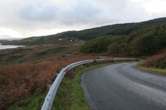 IMG_7694.JPG