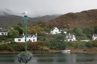 IMG_7706.JPG