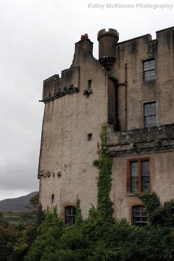 IMG_7735.JPG