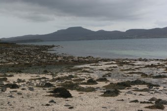 IMG_7750.JPG