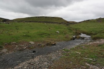 IMG_7753.JPG