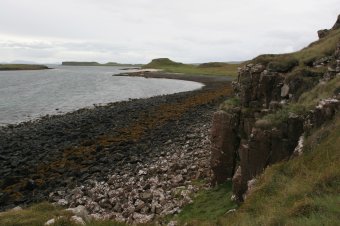 IMG_7755.JPG