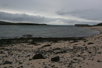 IMG_7766.JPG