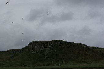 IMG_7768.JPG