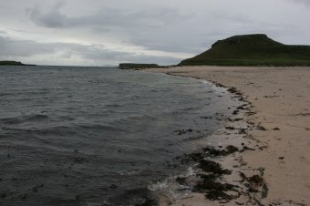IMG_7770.JPG