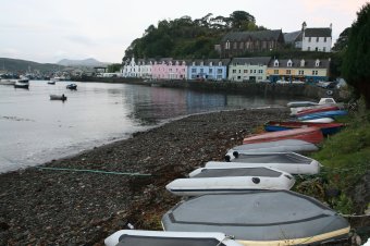 IMG_7811.JPG