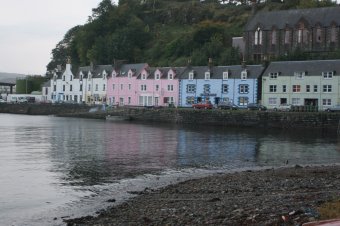 IMG_7812.JPG