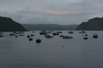 IMG_7815.JPG