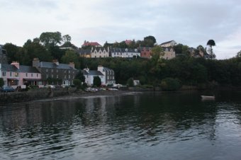 IMG_7824.JPG
