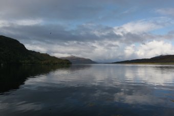 IMG_7861.JPG