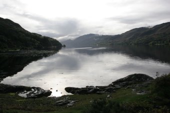 IMG_7869.JPG