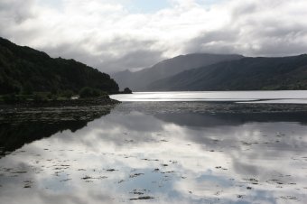 IMG_7876.JPG