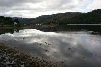 IMG_7884.JPG