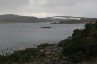 IMG_7889.JPG