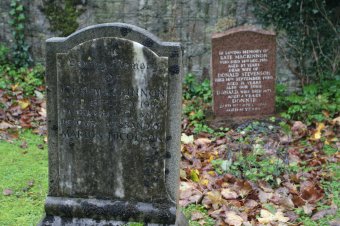 IMG_7928.JPG