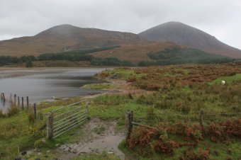 IMG_7954.JPG