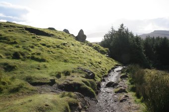 IMG_7993.JPG