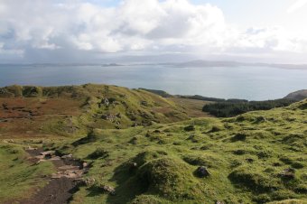 IMG_8016.JPG