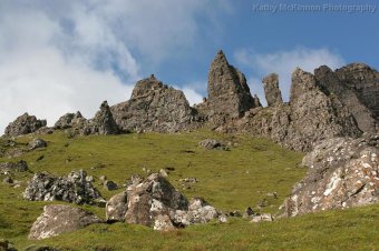 IMG_8019.JPG