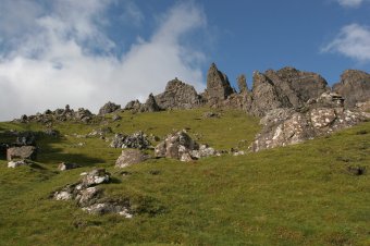IMG_8022.JPG
